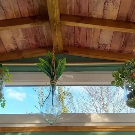 Hébergement de vacances La Tiny House Perdue *